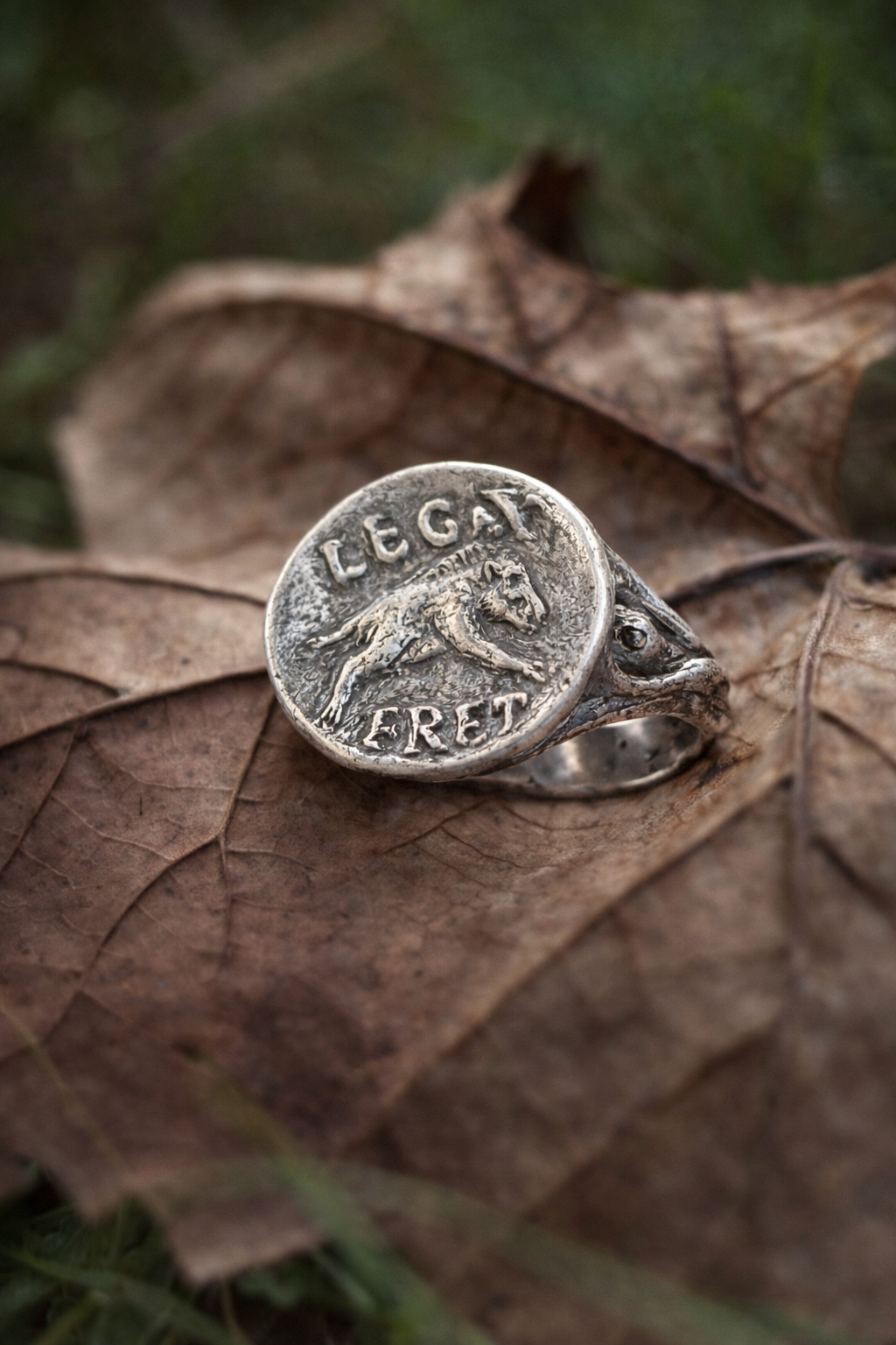 The Boar ring — OURSA